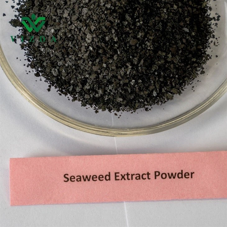 Seaweed Fertilizer Powder